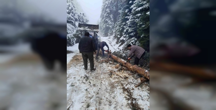 Bolu'da karla kaplanan yayla yollarını köylüler açmak için seferber oldu