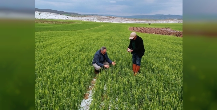 Elazığ'da dolu vurdu: Üretim alanlarında hasar tespiti için ekipler sahada