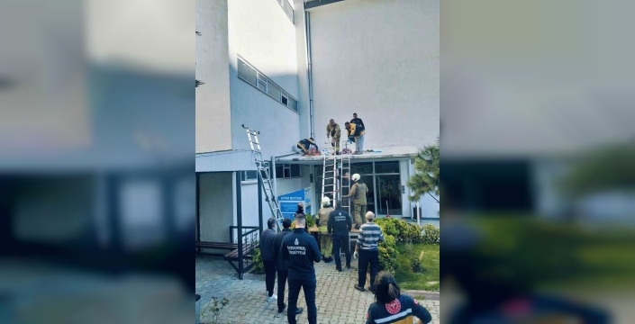 İstanbul'da silah sesleri arasında dehşet: Kadın 6. kattan atladı