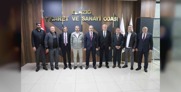 Karakoçan heyeti, sorunlarını Vali Hatipoğlu'na iletti