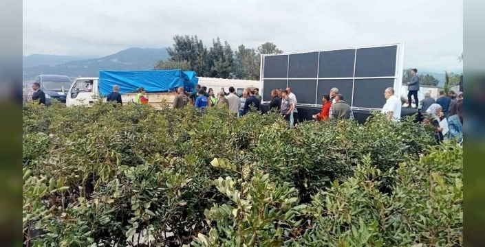 Keçiboynuzu bereketine 'aşılı' destek: Alanya tarımı güçleniyor