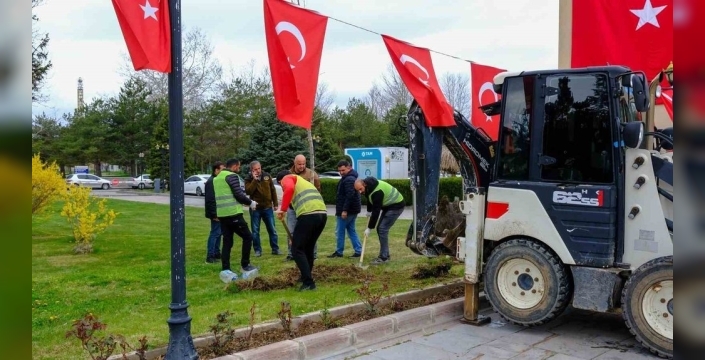 Masumiyet çınarları, kaybedilen canların anısını yaşatacak