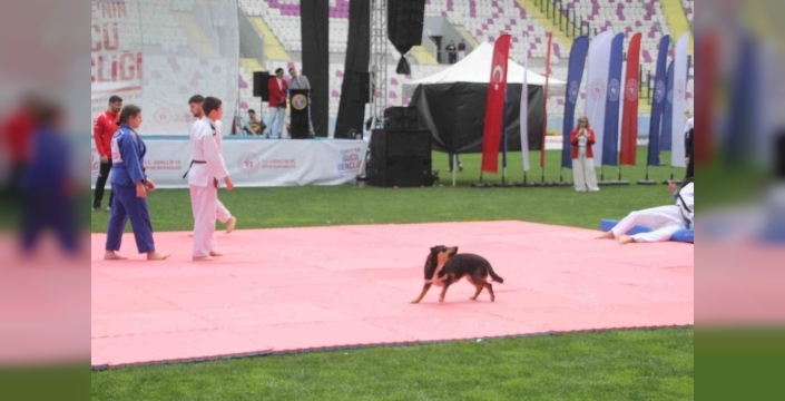 19 Mayıs kutlamaları karıştı! Başıboş köpek sahaya daldı, dronu böyle parçaladı