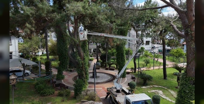 Alanya'da Akdeniz çam kabuk böceğine karşı ortak mücadele başlatıldı