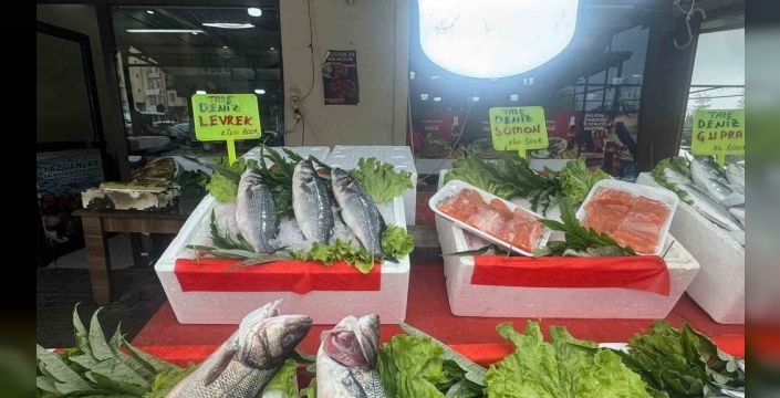 Alaplı'da balık tezgahları boşaldı, mezgit fiyatı cep yakıyor