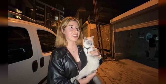 Arnavutköy'de kedi hırsızlığı: Şüpheli önce sevdi, sonra çanta alıp kaçtı