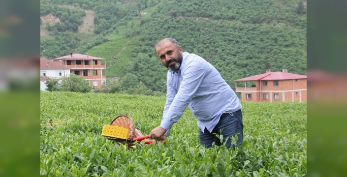 Çay üreticileri, yaş çay fiyat artışını kuru çaya yansıtacak zamla bekliyor