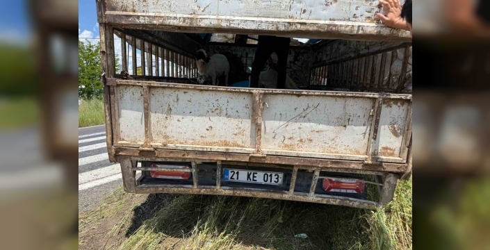 Diyarbakır yolunda bayram telaşı kana bulandı: Kurbanlık kamyonetiyle otomobil çarpıştı, 4 yaralı