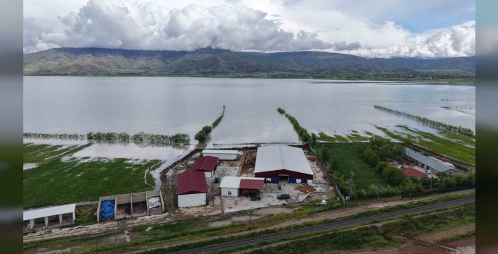 Elazığ'da üreticiler, çiftliklerini korumak için nöbet tutuyor