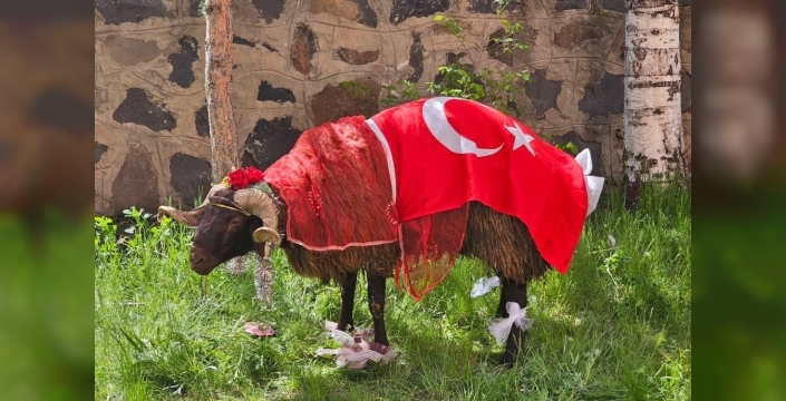 Erzurum'da geleneksel nişan koçu geleneği coşkuyla sürdürülüyor