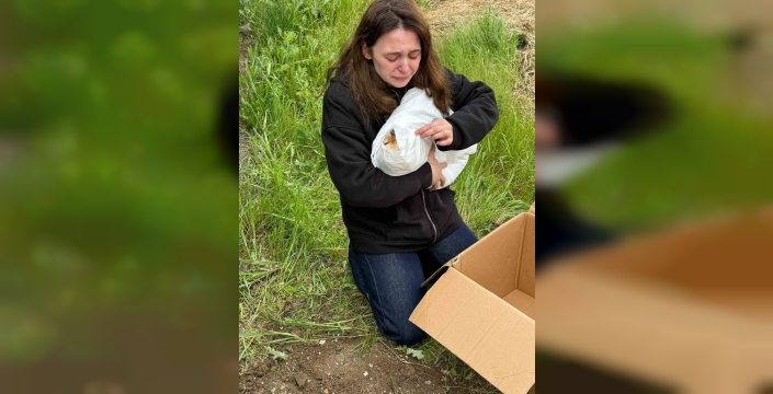 Gaziosmanpaşa'da petshopta yıkanan köpeğin ölümüne ihmal iddiası