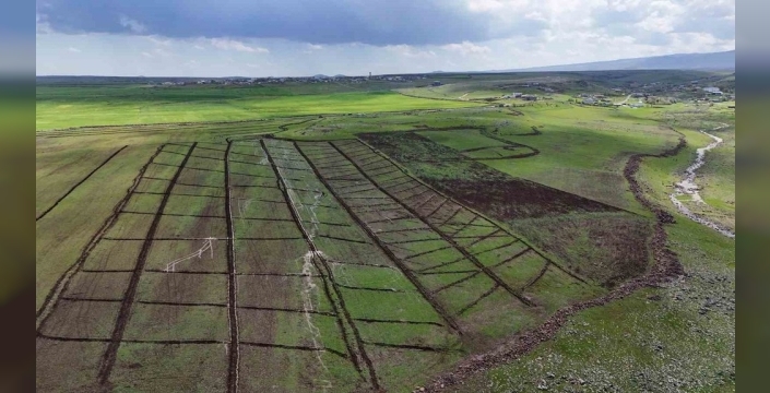 Her yedi yılda bir hayat bulan Karacadağ pirinci, toprağın bereketiyle yeniden sofralarımızda