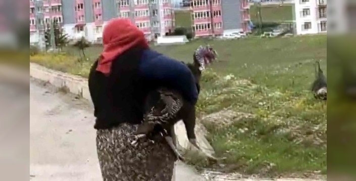 Hindi kavgası trafiği felç etti: Eflani'de şaşkınlık anları