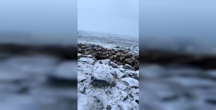 Kars'ta Mayıs Sürprizi: Eksi 5 Derecede Kar Yağdı