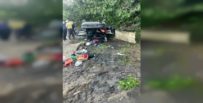 Kedi uğruna plaja uçan otomobilde 4 yaralı