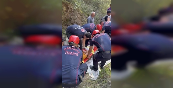 Kekik sevdası acıyla bitti: 12 yaşındaki çocuk dağa düştü