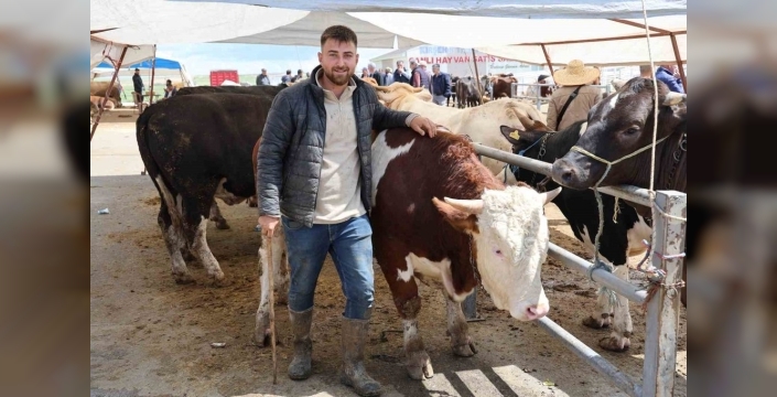 Kırşehir'de inek fiyatları dudak uçuklattı: Bir inek, bir otomobil parasına!