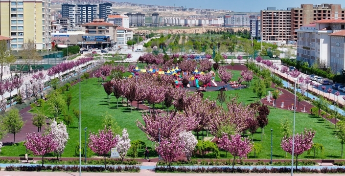 Konya’da sakura şöleni! Japonya’yı aratmayan manzara