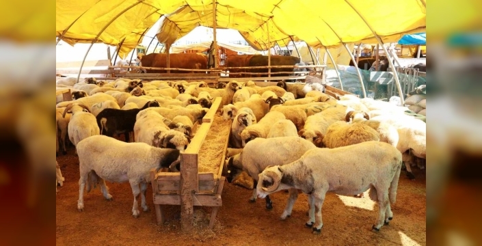 Kurban Bayramı için Ataşehir'de 8 kesim alanı hazırlandı