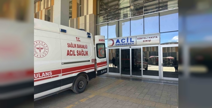 Kurban Bayramı'nda acemilik kazaları: Van'da 171 kişi hastanelik oldu