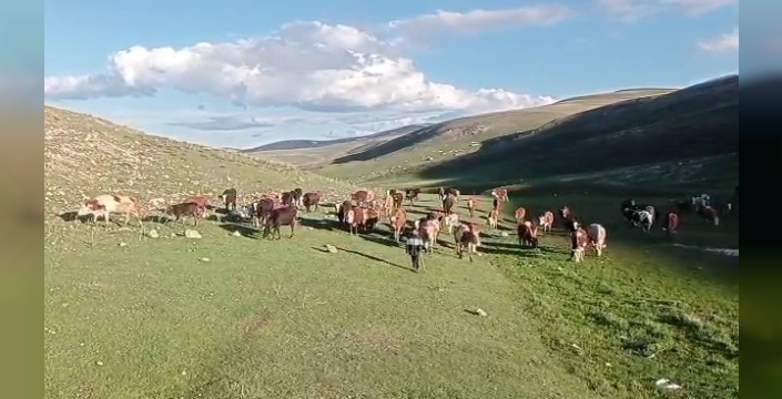 Kurban Bayramı öncesi dolandırıcılara dikkat!