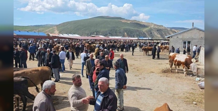 Kurban pazarlarında fiyatlar yükseldi, hareketlilik arttı