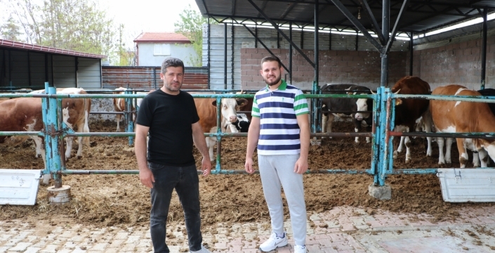 Kurbanlık hareketliliği başladı: Vatandaş küçükbaşa yöneliyor