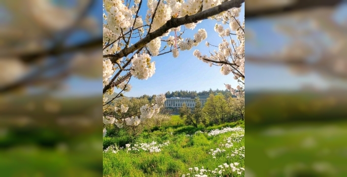 Mudanya Üniversitesi, 6 yeni bölümle eğitimde büyümeye devam ediyor