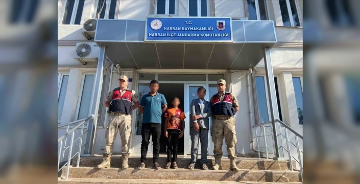 Şanlıurfa'da kaybolan iki çocuktan sevindiren haber: Jandarma buldu!