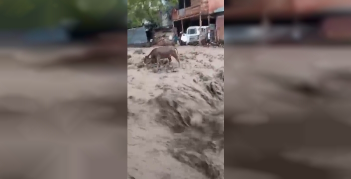 Şebinkarahisar'da sağanak hayatı felç etti: Dereler taştı, yollar kapandı