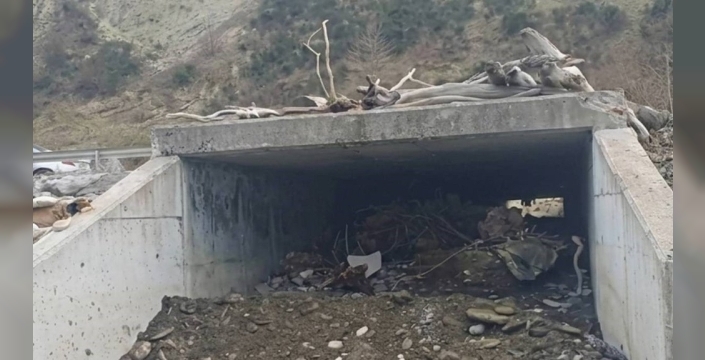 Sinop'ta ulaşım güvenliği için yaz hazırlıkları başladı