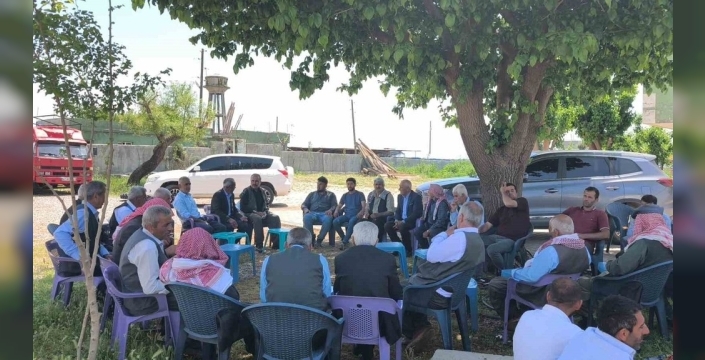 Şırnak'ta birleşen eller: Yüzyıllık imece geleneğiyle yüzlerce koyun kırkıldı