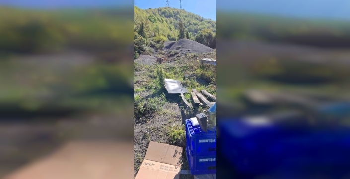 Zonguldak'taki arıcıdan ayı saldırısına tepki: 'Çilingir sofrası oldu