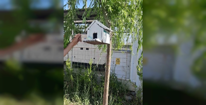 Afyonkarahisar'dan öğrencilerden kuşlar için sevgi dolu proje
