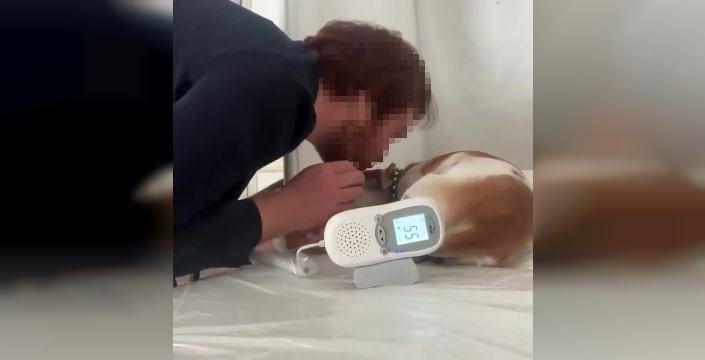 Aile Sağlığı Merkezinde Sedyede Köpek Tedavisi: Doktorun Skandal Sözleri Yeniden Ortada!