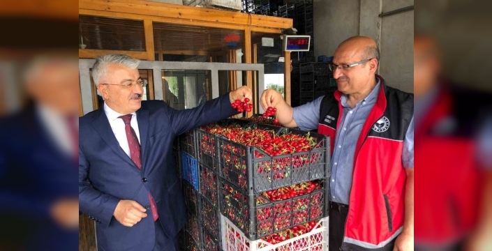 Akşehir kirazının geleceği, muhtarlar ve üreticilerle birlikte masaya yatırıldı
