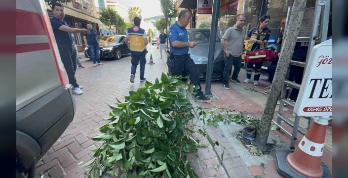 Amasra'da şok kaza: Fren yerine gaz, iki ağaç ve duvarla dans!