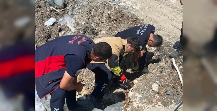 Anne kedinin fedakarlığı: Yavrularını kurtaran ekiplerin başında sabırla bekledi
