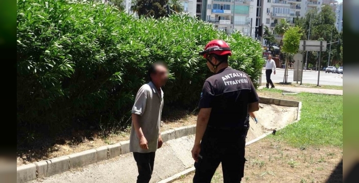 Antalya'da dikkat çeken ihbar: Olayın gerçek yüzü şoke etti