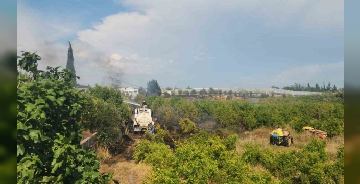 Antalya'da yangın paniği: Mahalleli seraları kurtardı