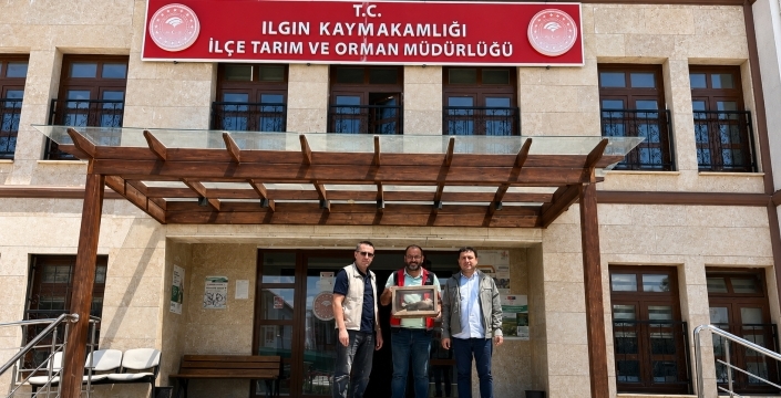 Arazi taraması 'Kızıl Şahin'in hayatını kurtardı