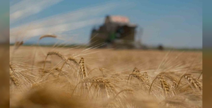 Arpa fiyatlarındaki ani düşüş: Besici sevindi, üretici kara kara düşünüyor