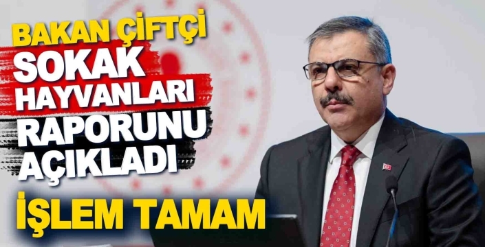 Bakan Çiftçi toplanan sokak hayvanlarının sayısını verdi: Konya’da durum ne?