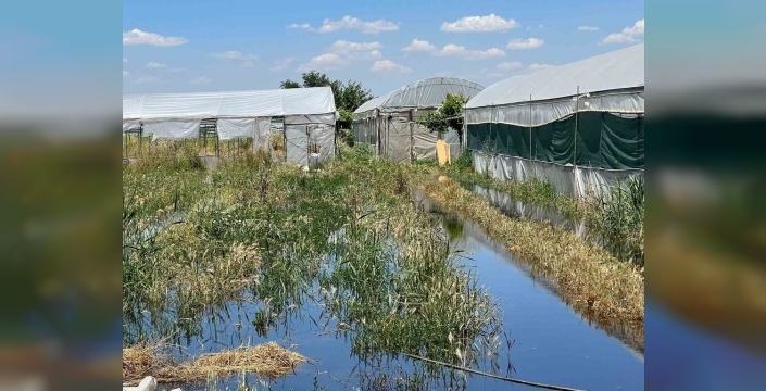 Batman'da sel felaketi: Milyonlarca liralık seralar sular altında kaldı, çiftçiler perişan!