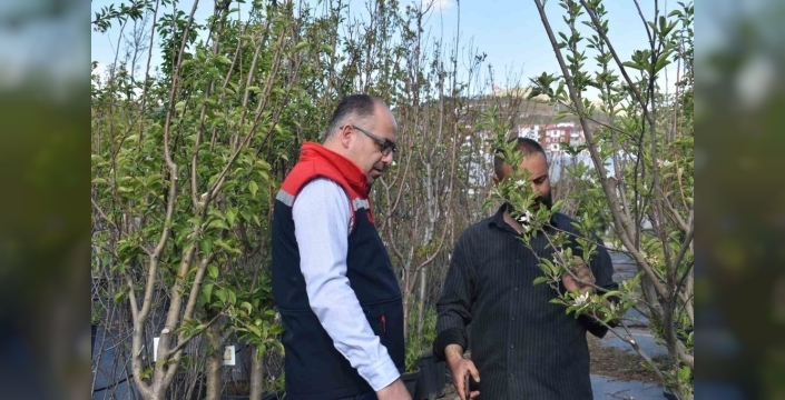 Bayburt'ta süs bitkisi ve tıbbi bitki üretimi yerinde incelendi