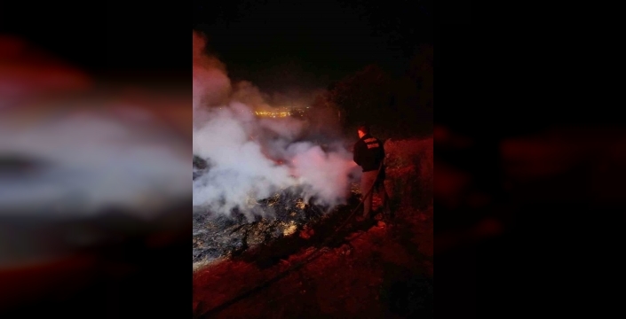 Bolu'da orman yanmaktan son anda kurtuldu: Anız yangını paniği