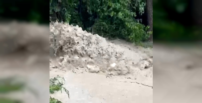 Bolu'da sağanak yağışlar tarım arazilerini su altında bıraktı