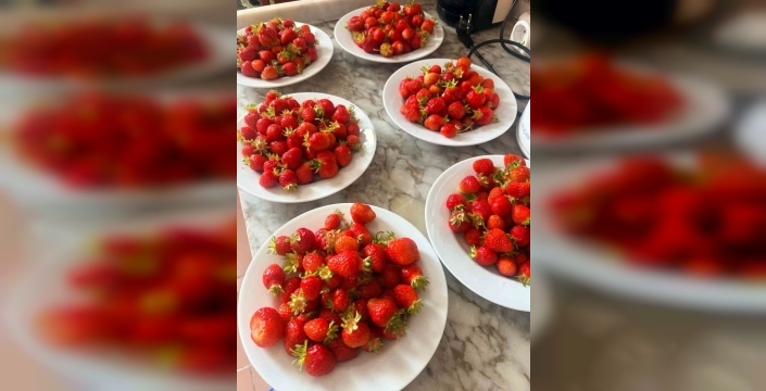 Çıldır Anaokulu öğrencileri çilek hasadında buluştu