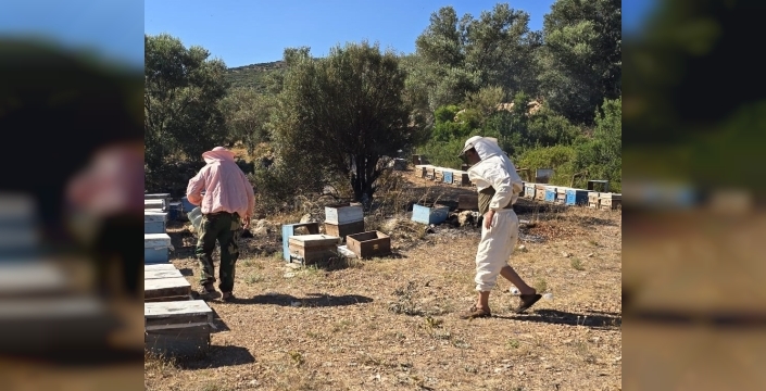 Datça'da Arıcı Konaklama Alanında Çıkan Yangın, Ekiplerin Hızlı Müdahalesiyle Söndürüldü