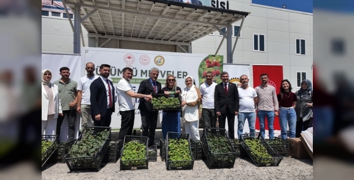 Düzce çiftçisine modern tarım eli: Fide ve damla sulama desteğiyle rekolte artışı hedefleniyor